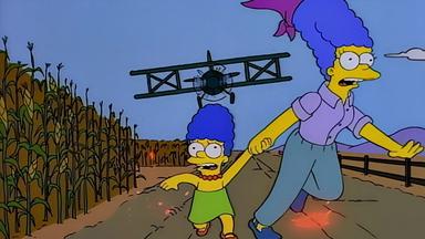 Los Simpson 6x11