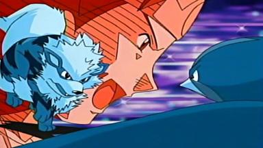 Pokémon 9x8