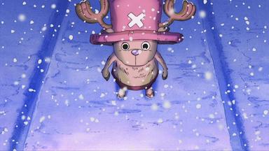 One Piece 3x90