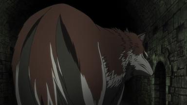 Spice and Wolf 1x6