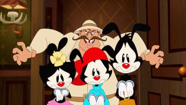 Animaniacs 1x14
