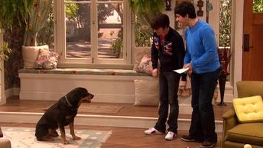 Drake & Josh 4x2