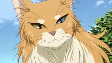 The Ancient Magus' Bride (Mahou Tsukai no Yome) 1x4