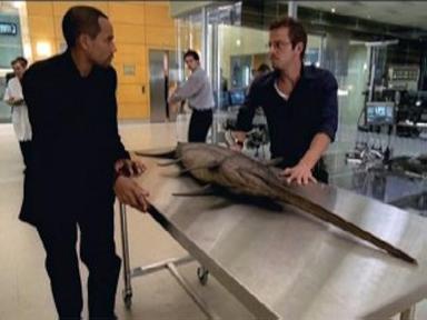 CSI: Nueva York 2x5
