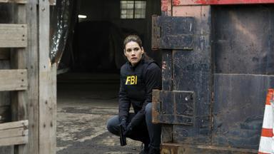 F.B.I. 5x13