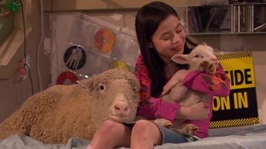 Drake & Josh 3x11