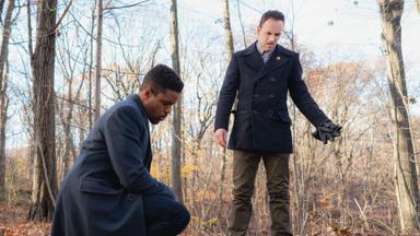 Elementary 5x12