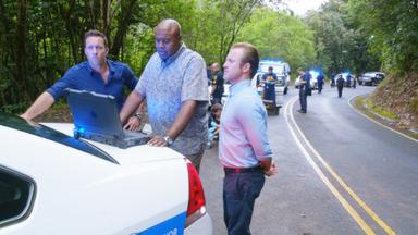Hawaii Five-0 5x24