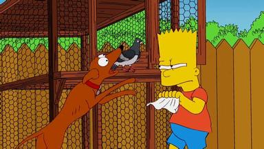 Los Simpson 22x7