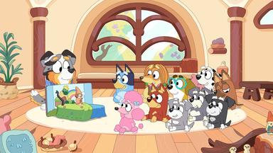 Bluey 1x17