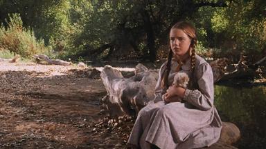 La familia Ingalls 2x8