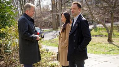 Elementary 4x21