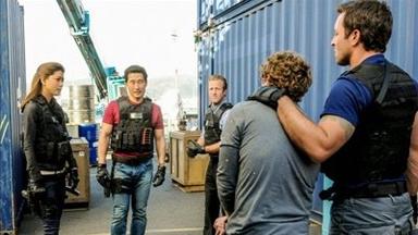Hawaii Five-0 3x19