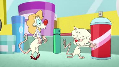 Animaniacs 2x17