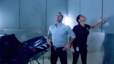 Hawaii Five-0 5x20