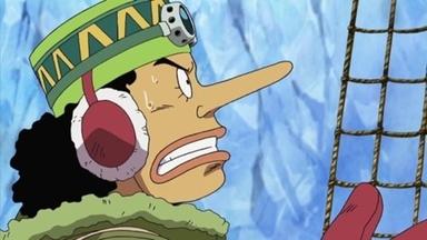 One Piece 9x329