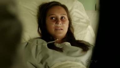 Códigos de familia 2x4